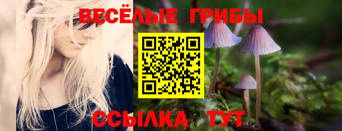 Галлюциногенные грибы Psilocybine cubensis Заволжье