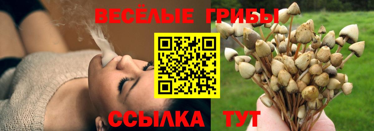 Галлюциногенные грибы Psilocybe  Галлюциногенные грибы GOLDEN TEACHER  Заволжье  Вход с VPN 