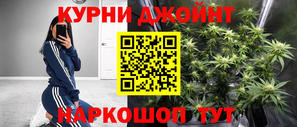 Каннабис конопля  Канабис VHQ  Заволжье  Канабис марихуана  Вход с VPN 